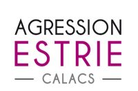 Projection spéciale à Sherbrooke pour marquer les 12 jours d’action contre la violence faite aux femmes